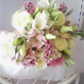 fwthumbIMG_20160326_0920452.jpg